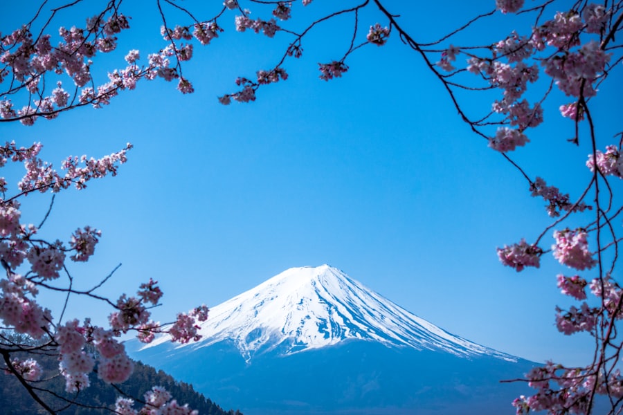Mount Fuji framed by blooming cherry blossom branches